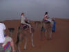 balade à dos de chameaux