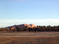 dsert marocain et palmiers
